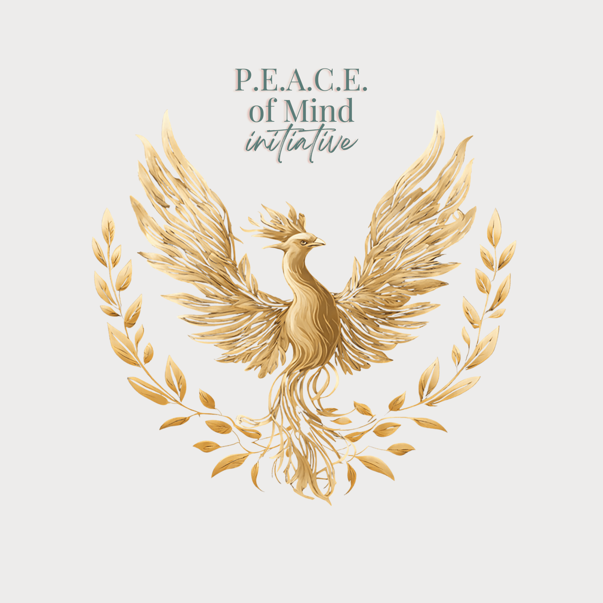 peace of mind divorce logo phoenix
