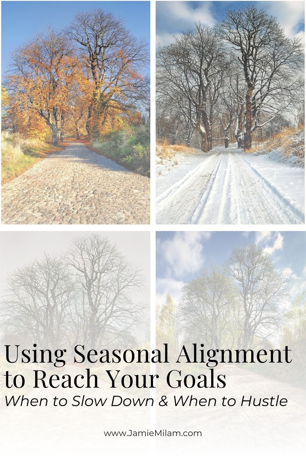 seasonal alignment