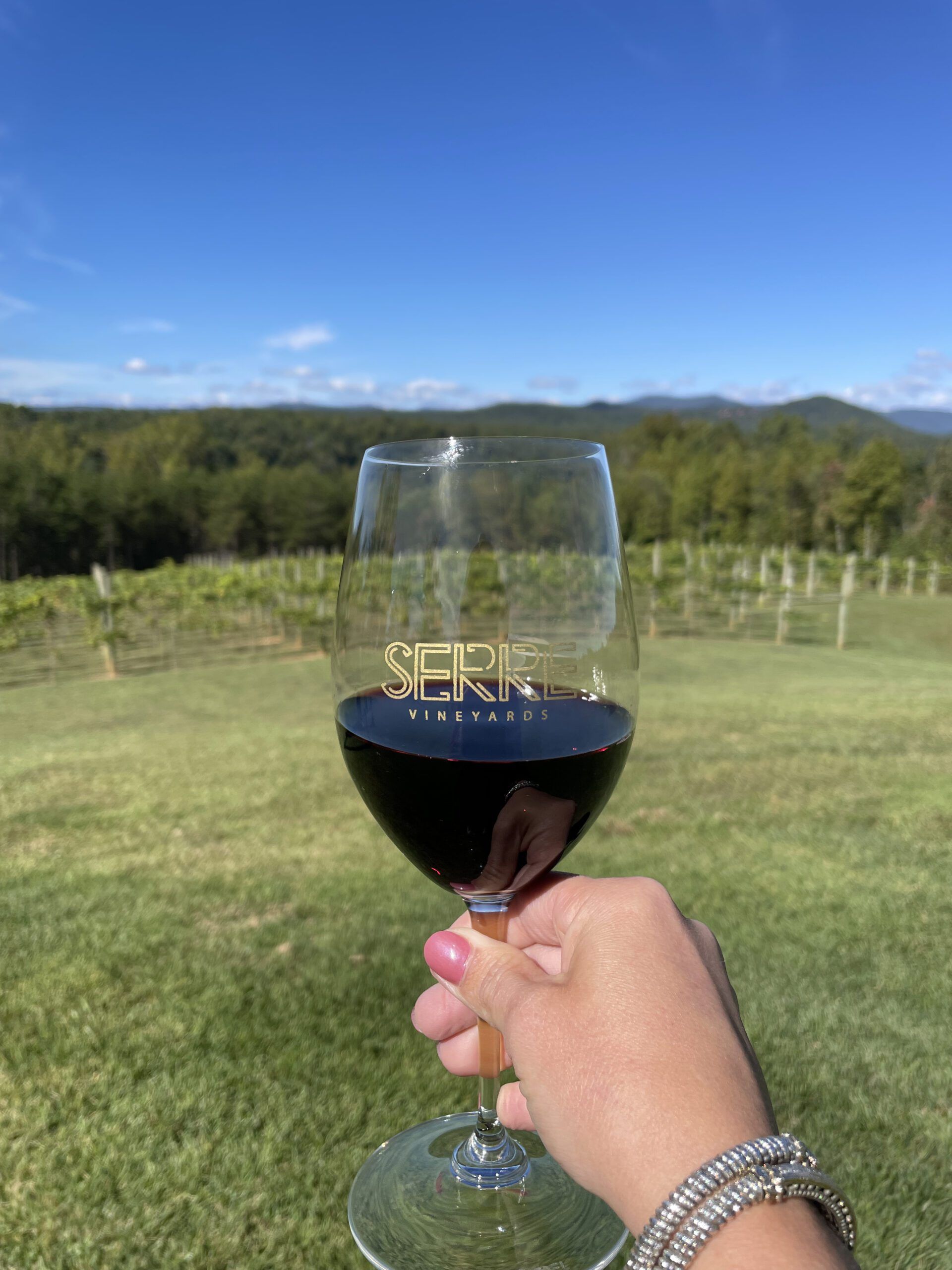 Holding up a glass of wine with a beautiful green landscape