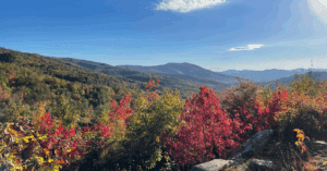 Photo of colorful autumn trees; the view from a Charlotte hike lookout