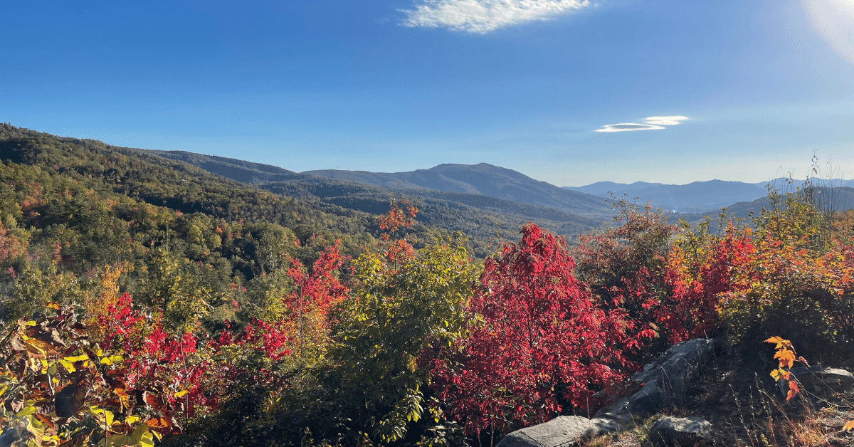 Photo of colorful autumn trees; the view from a Charlotte hike lookout