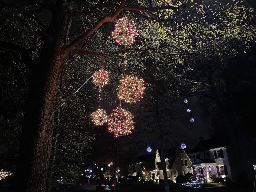 Christmas lights in a tree in Hillside Avenue, Charlotte