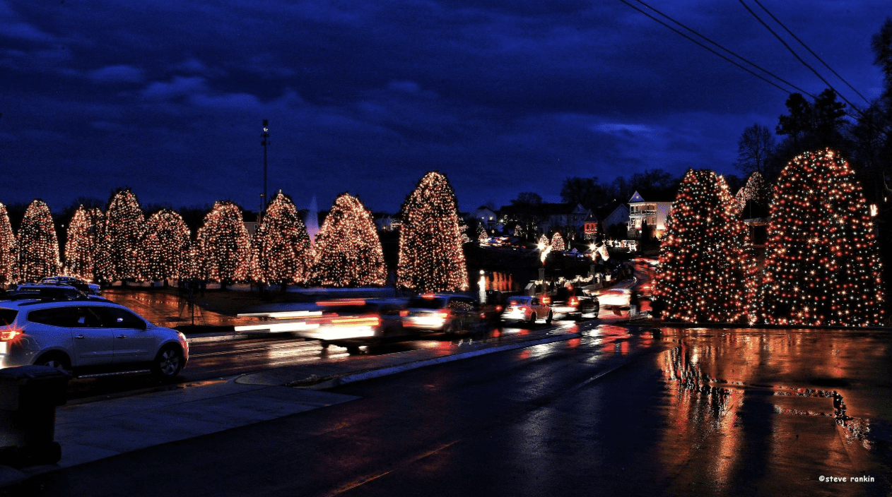 Holiday lights on trees along the street in McAdenville