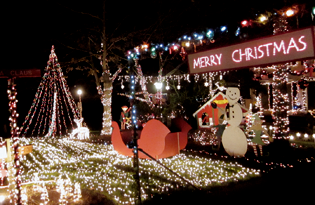 Christmas lights at Sherwood Forest, Charlotte