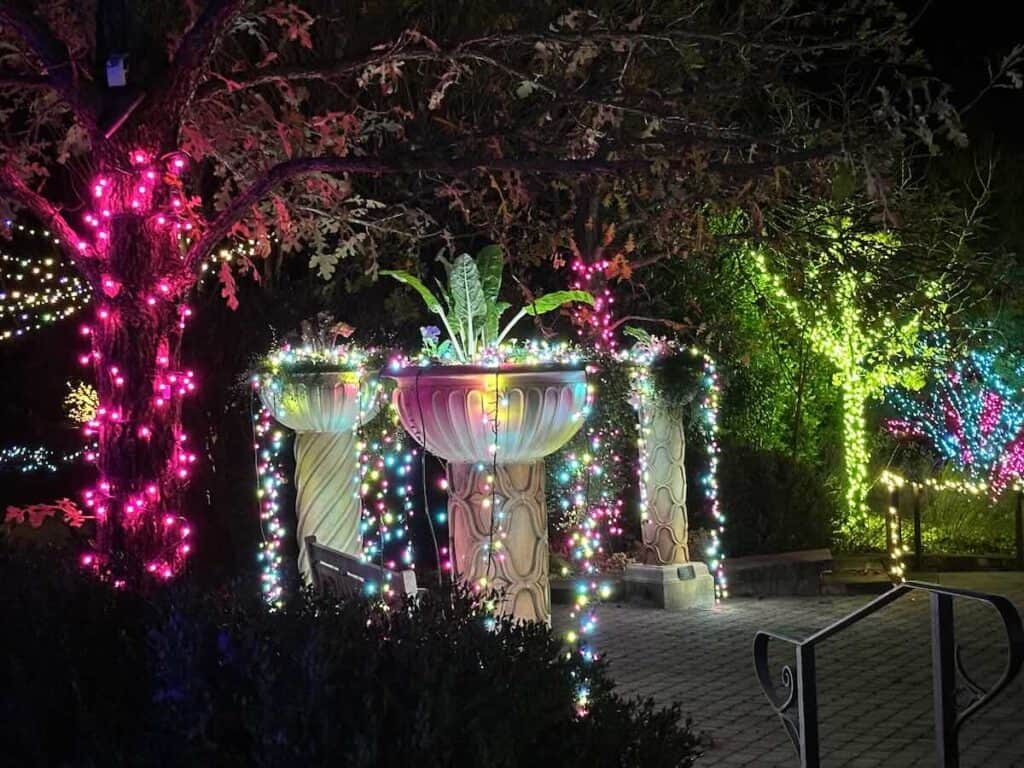Christmas lights at Stowe Botanical Garden