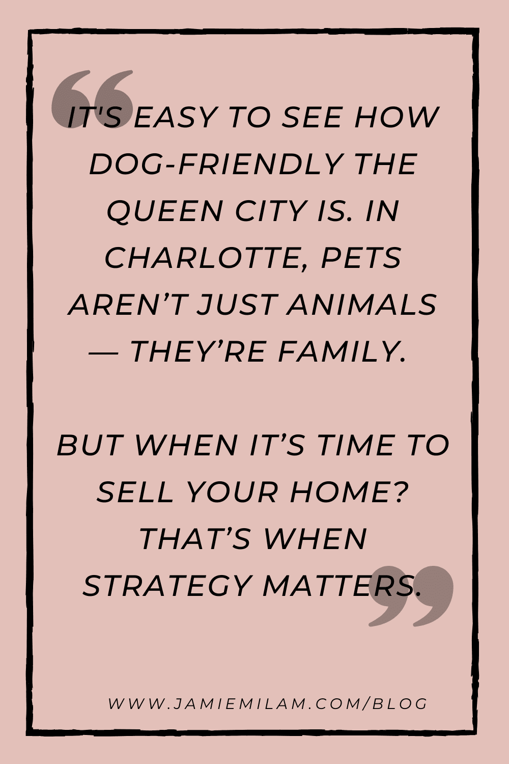 Text on a pink background: "It's easy to see how dog friendly the Queen City is. In Charlotte, pets aren’t just animals — they’re family. But when it’s time to sell? That’s when strategy matters."
