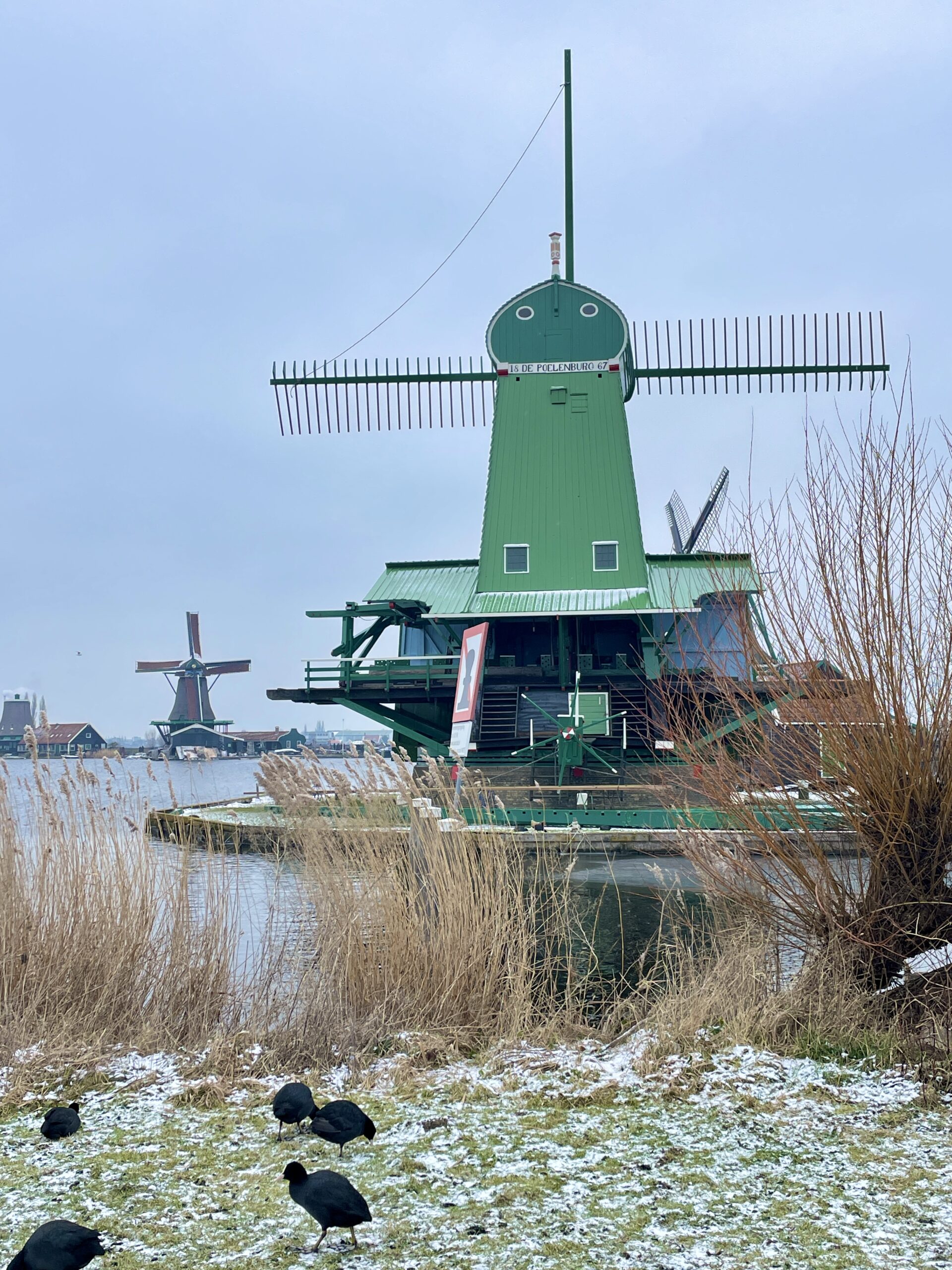 Green windmills in Amsterdam